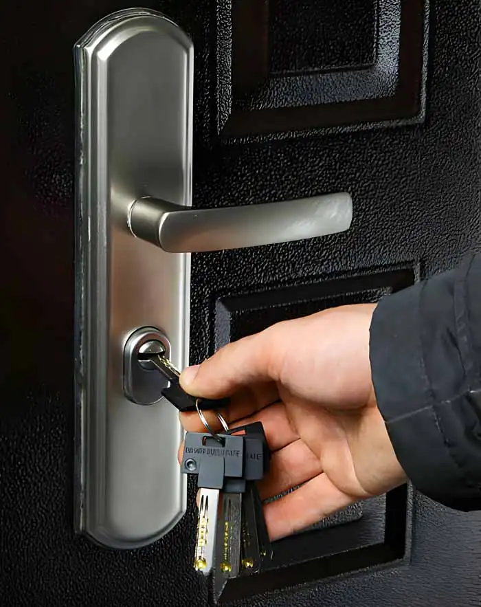 Tiger Locksmith at work